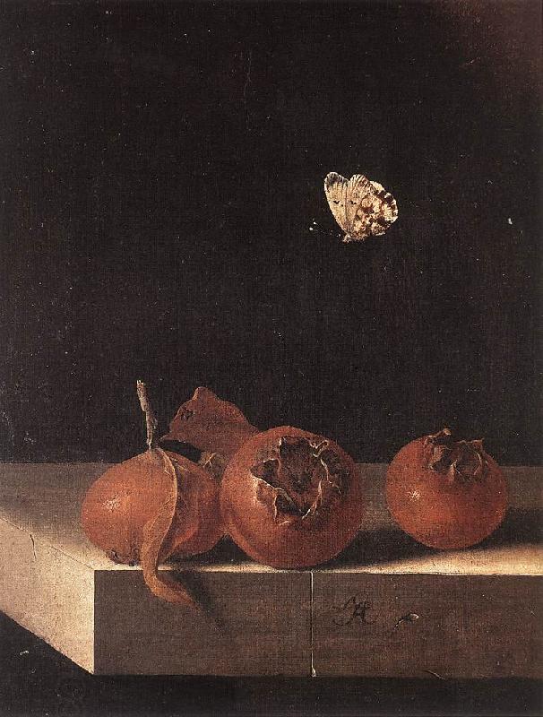 COORTE, Adriaen Three Medlars with a Butterfly zsdgf China oil painting art